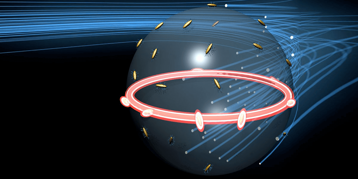 ARTISTIC RENDERING OF GOLD NANORODS ATTACHED TO THE SURFACE OF A SINGLE MICROLASER FOR FREQUENCY COMB GENERATION. ILLUSTRATION BY VINH DIEP.