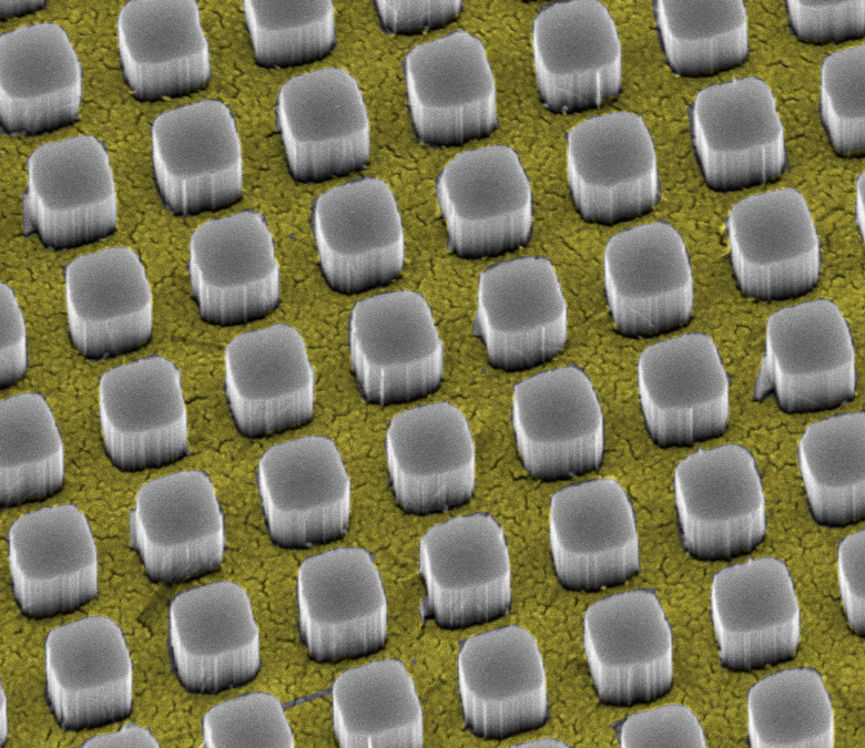 Silicon nanopillars funnel light through a gold metal contact to a sheet of silicon underneath.