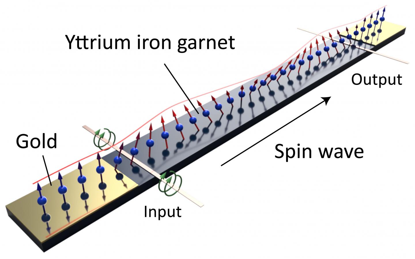 This is a magnetic oxide film treated with gold film capable of suppressing SW noise. CREDIT COPYRIGHT (C) TOYOHASHI UNIVERSITY OF TECHNOLOGY. ALL RIGHTS RESERVED.