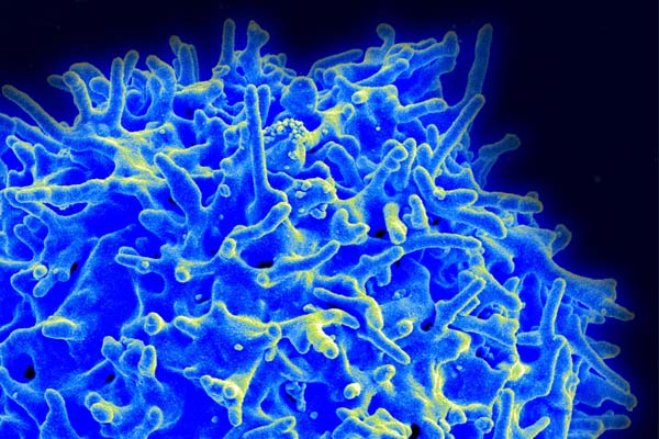 2015-06-05-life-of-a-cell.jpg