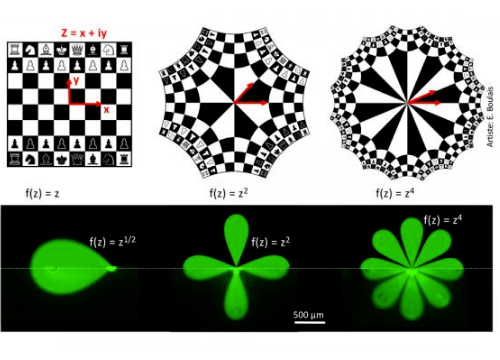 Illustration of the mathematical transforms used, first on the image of a chessboard, then on microfluidic multipoles. @ Polytechnique Montréal and McGill University