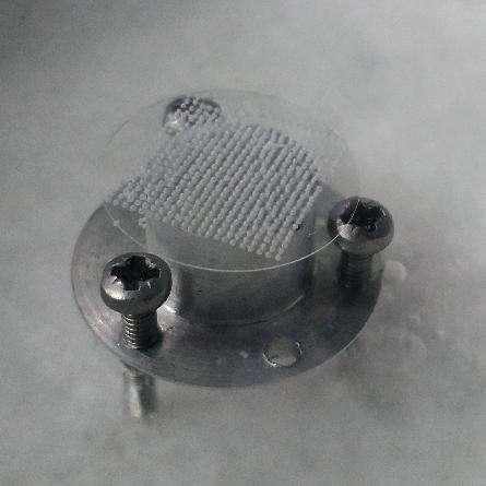 Inkjet-printed droplet array frozen by liquid nitrogen on a thin glass. © 2019 National Academy of Sciences