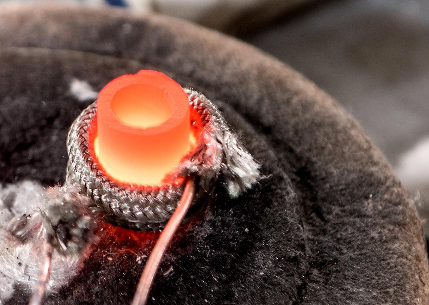 Researchers have developed a new low-cost technique for converting bulk powders directly to oxide nanowires. Shown is a crucible in which an alloy of lithium and aluminum is being formed. @ Rob Felt, Georgia Tech