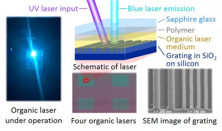 Photograph of a blue organic thin-film laser under operation along with microscope images and a schematic of the lasers. By optimizing the device structure and using appropriate materials, the duration of lasing was extended up to 30 ms, which is more than 100 times longer than previously possible. The schematic is a generalized representation of the structure and is not to scale. CREDIT Atula S. D. Sandanayaka and Willam J. Potscavage, Jr.