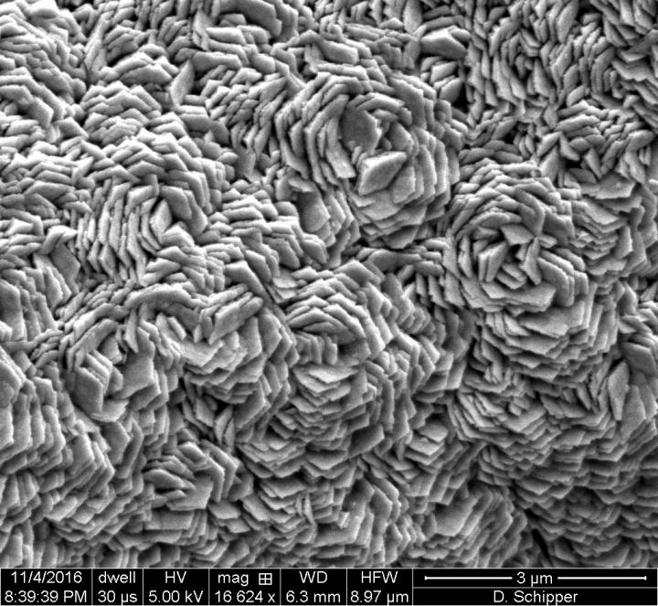 A catalyst developed by Rice University and the University of Houston splits water into hydrogen and oxygen without the need for expensive metals like platinum. This electron microscope image shows nickel foam coated with graphene and then the catalytic surface of iron, manganese and phosphorus. @ Desmond Schipper/Rice University