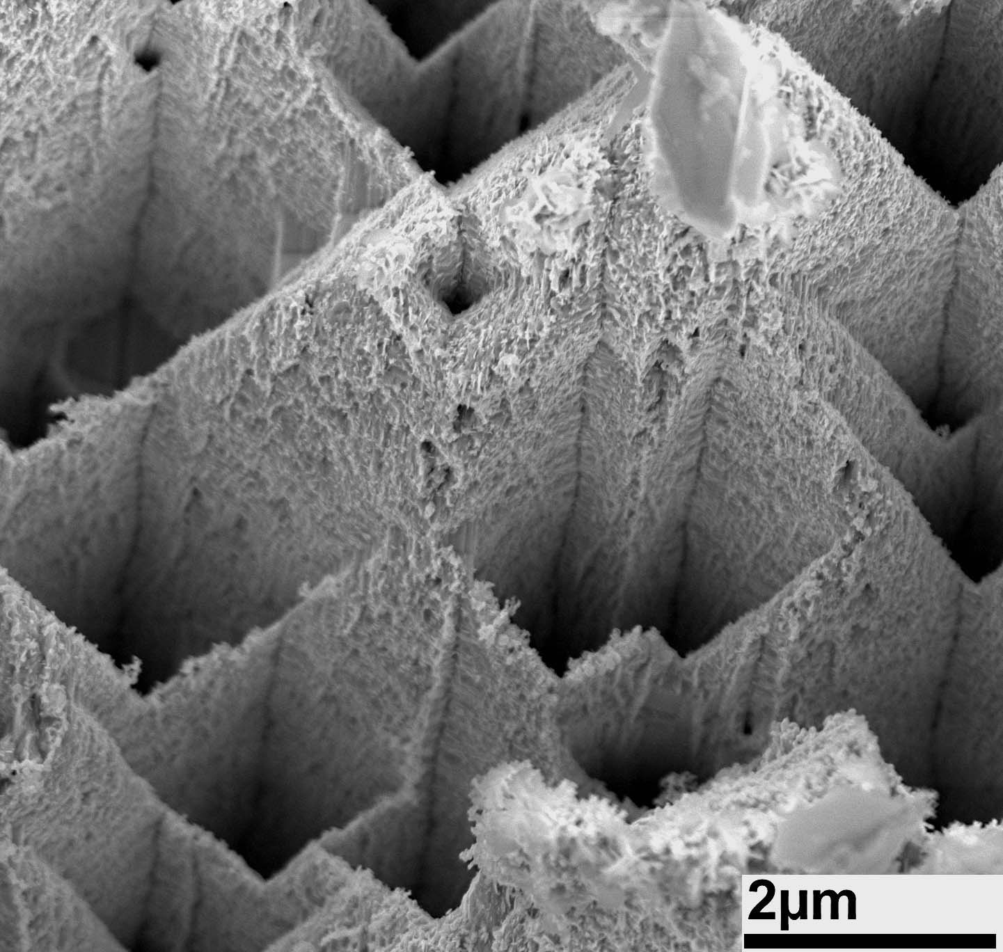 The roughened surface structure of zinc in 10,000x magnification (2 μm = 0.002 mm). Photo/Copyright: Melike Baytekin?Gerngroß