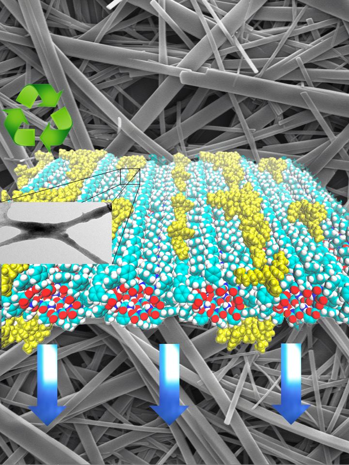 Nanocomposite Depiction The illustration shows a theoretical simulation of the distribution of the polymer on peptide nanotubes and an electron microscopy image of the nanocomposite.