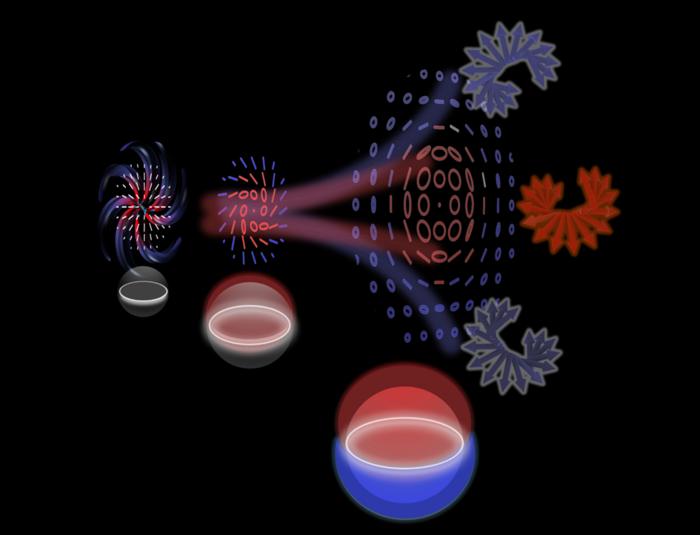 Wits and UEA researchers reveal a new free-space route to chiral light for sensing and photonics. @Kayn Forbes et al.