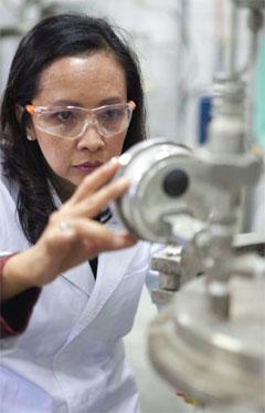Prof. Dr. Halimaton Hamdan leads the Institute for Innovative Nanotechnology, initiated in 2013 through Malaysia's Global Science & Innovation Advisory Council