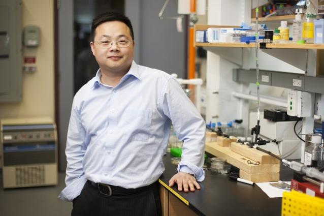 Research by Assistant Professor of Biomedical Engineering Qiaobing Xu and colleagues could lead to new ways to repair nerve tissue injuries.