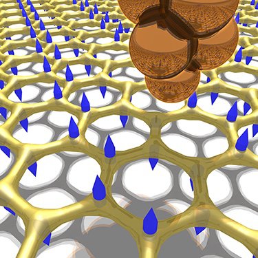 Tunneling electrons from a scanning tunneling microscope tip excites phonons in graphene. The image shows the graphene lattice with blue arrows indicating the motion direction of that carbon atoms for one of the low energy phonon modes in graphene. Credit: Wyrick/NIST
