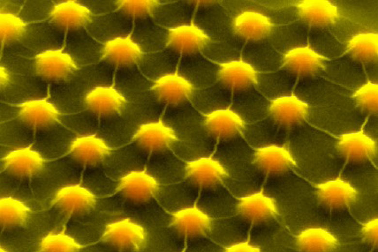 Colorized image, enlarged 100,000 times, shows an ultrathin layer of molybdenum disulfide stretched over the peaks and valleys of part of an electronic device. Just 3 atoms thick, this semiconductor material is stretched in ways to enhance its electronic potential to catch solar energy.
