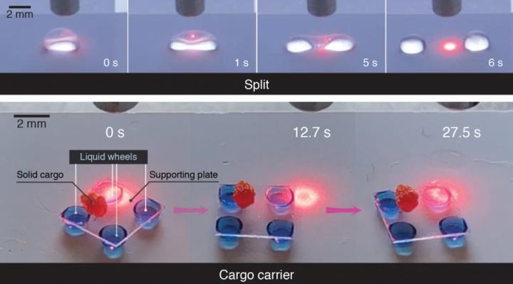 (upper photos) showing the split of an ethanol droplet by a beam of light on the photopyroelectric microfluidic platform. (below) showing a light-controlled cargo carrier with droplet wheels transporting a solid cargo. @ The University of Hong Kong