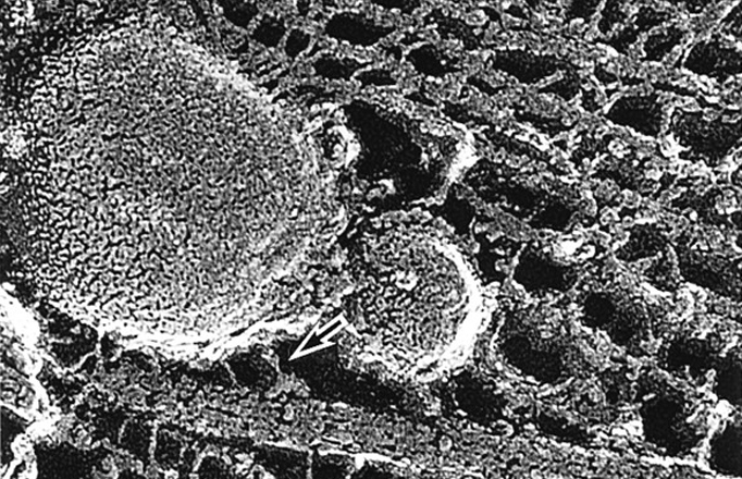 400021867 (1).jpg