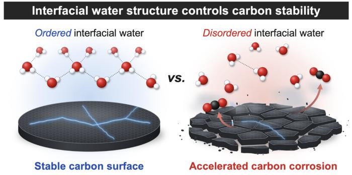 Interfacial water structure regulates the stability of carbon electrodes. When interfacial water molecules form an ordered, strongly hydrogen-bonded network, the carbon surface remains stable (left). When the network is disrupted, carbon corrosion (oxidation of carbon to CO2) is accelerated (right). Credit: 2026 Cho et al., Interfacial Water-Networks Regulate the Anodic Stability of Carbon Electrodes, Angewandte Chemie International Edition