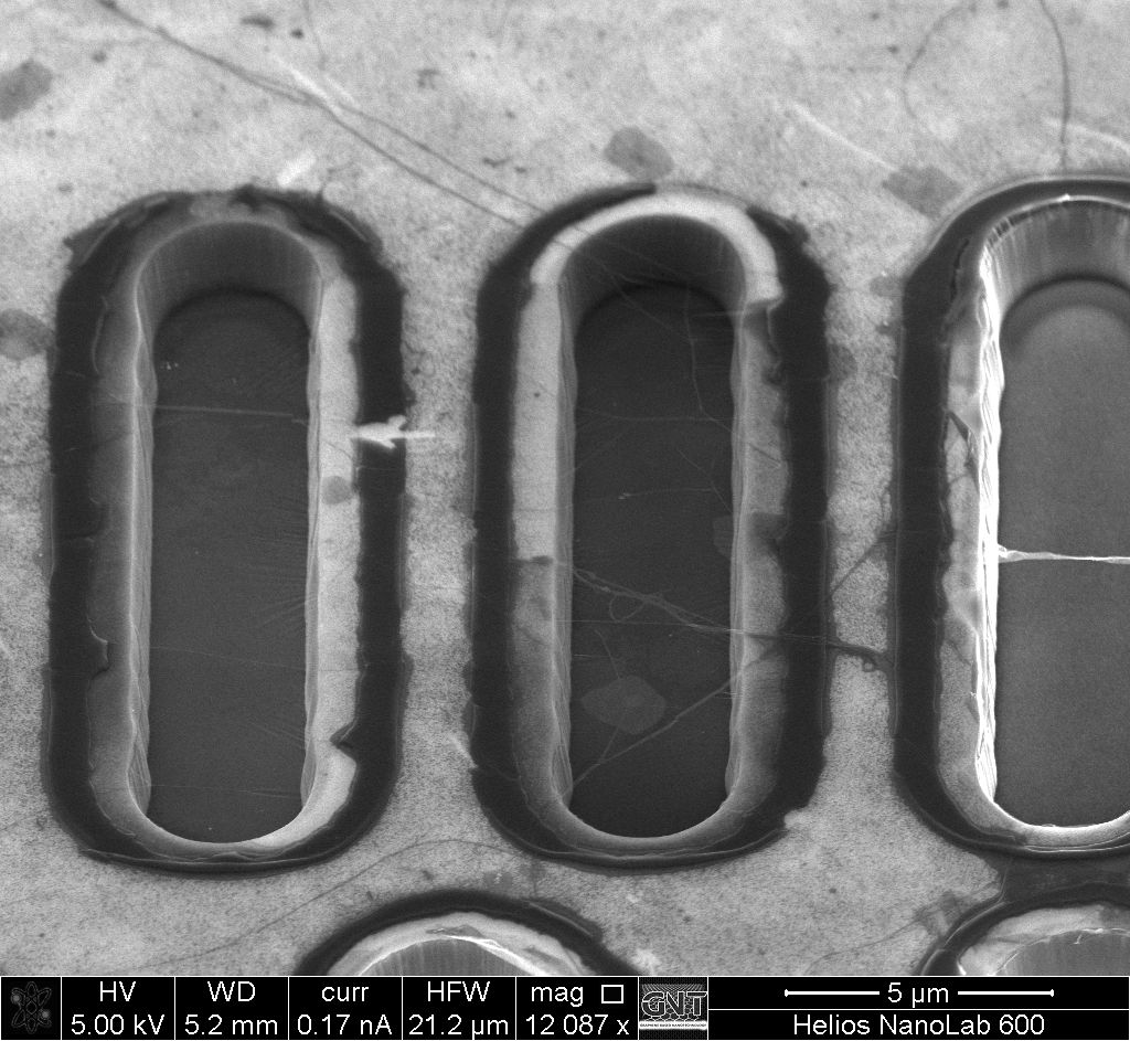 Monolayer graphene membrane suspended over microcavities.