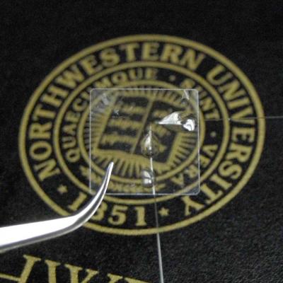 The tiny, transparent Micro-ring device can fit into a contact lens. @ Cheng Sun