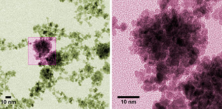 Colorized micrographs of platinum nanoparticles made at NIST. The raspberry color suggests the particles’ corrugated shape, which offers high surface area for catalyzing reactions in fuel cells. Individual particles are 3-4 nm in diameter but can clump into bunches of 100 nm or more under specific conditions discovered in a NIST study. Credit: Curtin/NIST