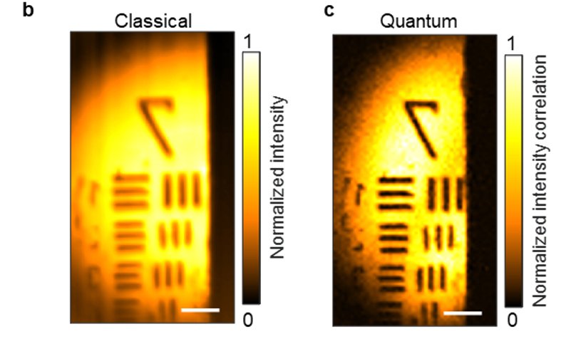 Quantum Microscopy of Cells at the Heisenberg Limit