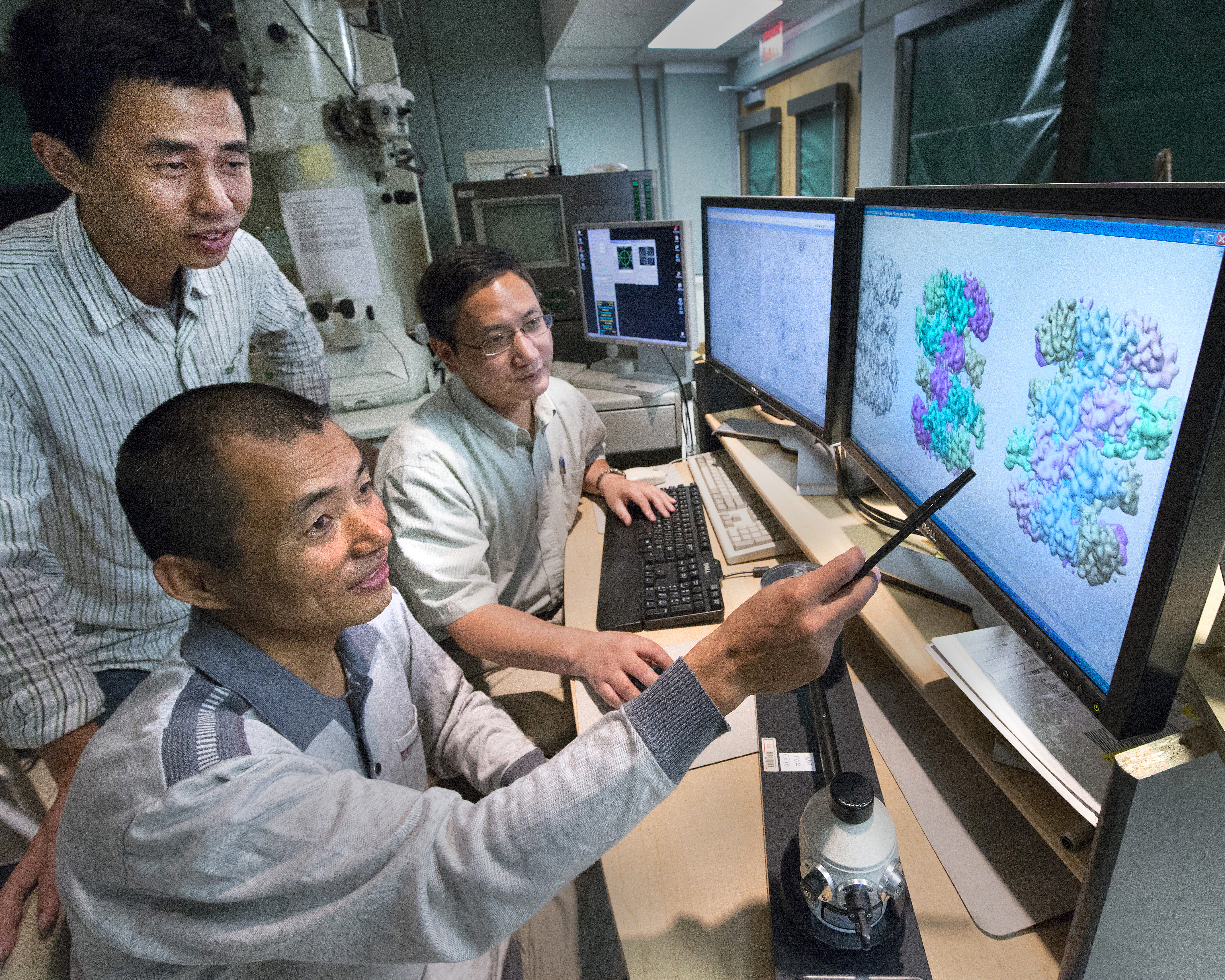 Collaborating scientists and study coauthors Zuanning Yuan, a graduate student at Stony Brook University (standing), Huilin Li of Stony Brook and Brookhaven Lab (seated, back), and Jingchuan Sun of Brookhaven Lab (seated, front) examining protein structures.