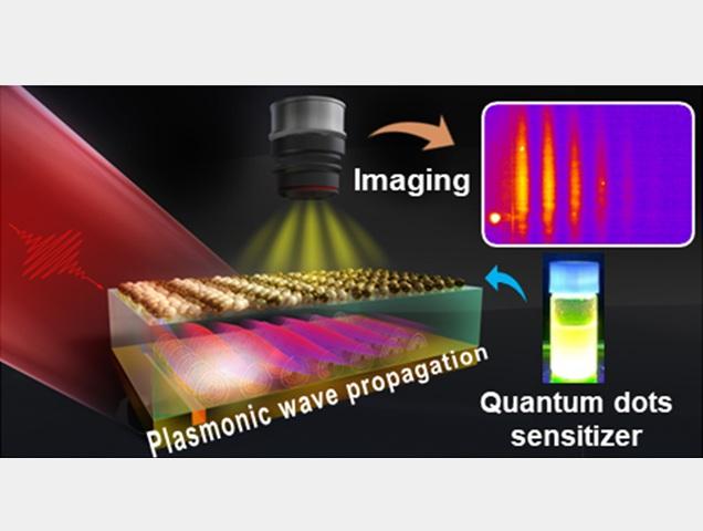 An ultrathin layer of quantum dots acts as a light-emitting reporter, revealing invisible surface plasmon polaritons traveling along a metal–dielectric interface. The technique enables researchers to image and measure the waves with a conventional fluorescence microscope, even beneath protective dielectric coatings. @Osaka Metropolitan University