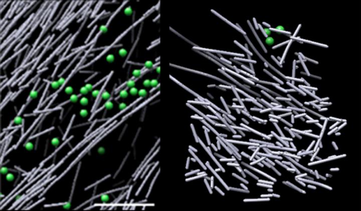 Cryo-electron microscope images of actin assembly in the cell in the absence of a molecular signal (left) and the haystack-like actin filament nanoscaffold that was induced in response to a molecular signal (Rac1) and promotes cell movement (right). The structure sprang into view in defined regions where Rac1 was activated, and quickly dissipated when Rac1 signaling stopped--in as little as two and a half minutes. @ Sanford Burnham Prebys Medical Discovery Institute (SBP)