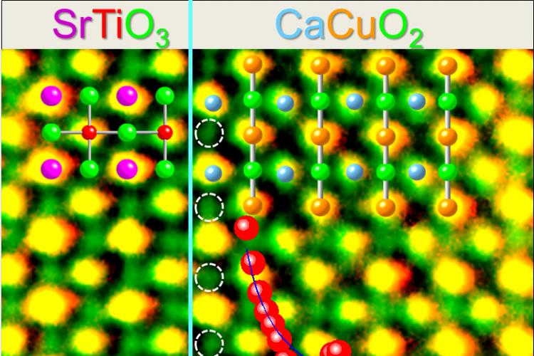 An ORNL-University of Rome study has delivered direct evidence of high-temperature superconductivity at the interface of two insulating oxide materials. Electron microscopy at ORNL showed that superconductivity arises from oxygen ions (circled in white) that are incorporated into the interface calcium layer.