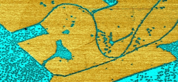 WMD4.jpg