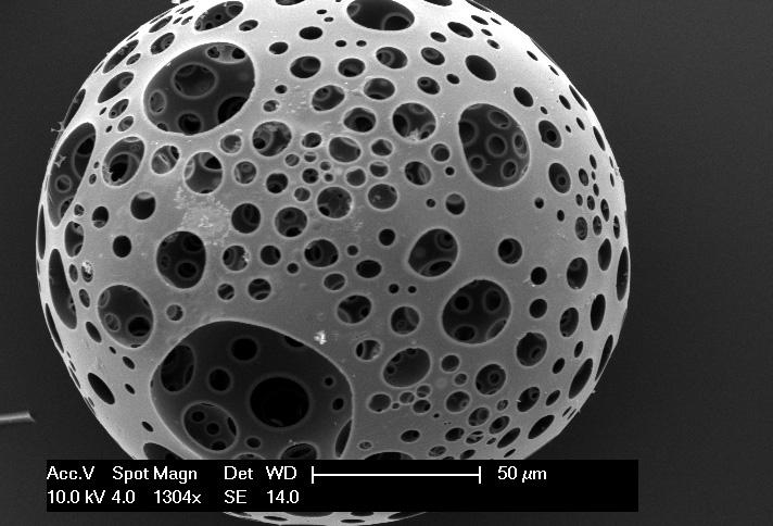 A close-up of a injectable stem-cell carrying microsphere made of calcium phosphate which are injected to prevent and treat fractures caused by bone-thinning diseases. @ Ifty Ahmed; University of Nottingham