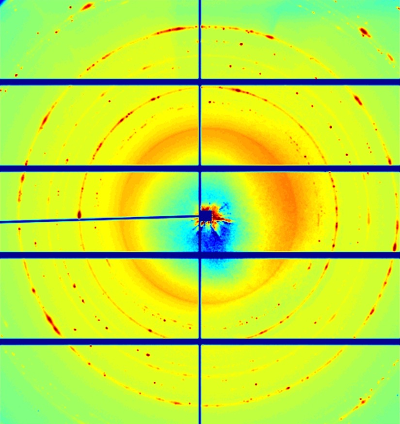 The X-ray diffraction pattern contains detailed information about the nano structure of the photosensitive film. Subsequent images show the dynamic changes during exposure, as individual diffraction peaks move and split up. Credit: Jeff (Zhifeng) Huang/UCLA