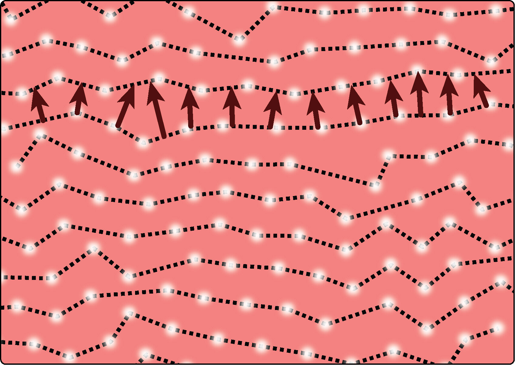 An illustration of a melting electron crystal structure. The white dots representing a cluster of electrons are no longer uniformly arranged in straight, tidy rows. The wavelength of the charge density wave expands due to the messy structure. Image credit: Jeremy Shen, Hovden Lab, University of Michigan Engineering.