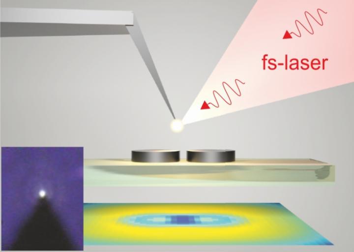 Nanoparticle size amounts to 150 nanometers. @ Makarov, Sinev et al.