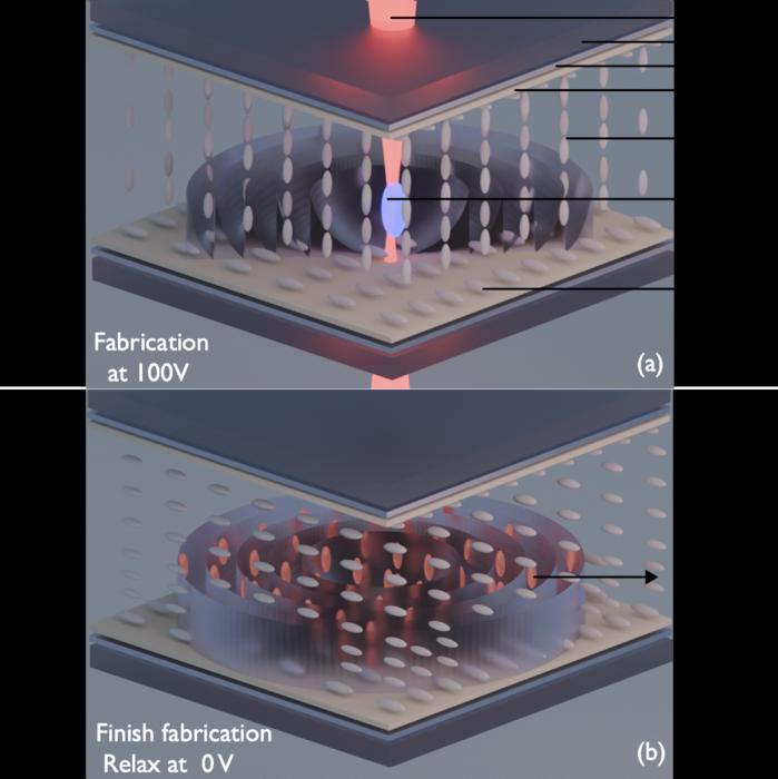 Figure 1: Schematic of two-photon polymerization direct laser writing inside a liquid crystal director. Localized polymerization forms a rigid network that locks the liquid crystal director and defines a smooth phase profile. @Zhiyu Xu et al.