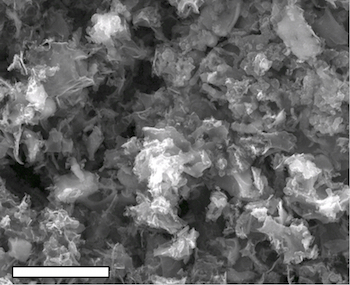 A scanning electron microscope image shows cobalt-infused metal oxide-laser induced graphene. The scale bar equals 10 microns. Courtesy of the Tour Group