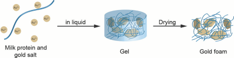 Milk protein filaments and gold salt are the starting materials for the gold foam. (Ilustration: Nyström G et al. Advanced Materials 2015)