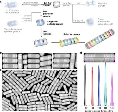 Imagine shrinking those barcodes a million times, from millimetre to nanometre scale, so that they could be used inside living cells to label, identify and track the building blocks of life or, blended into inks to prevent counterfeiting. @ University of Technology Sydney