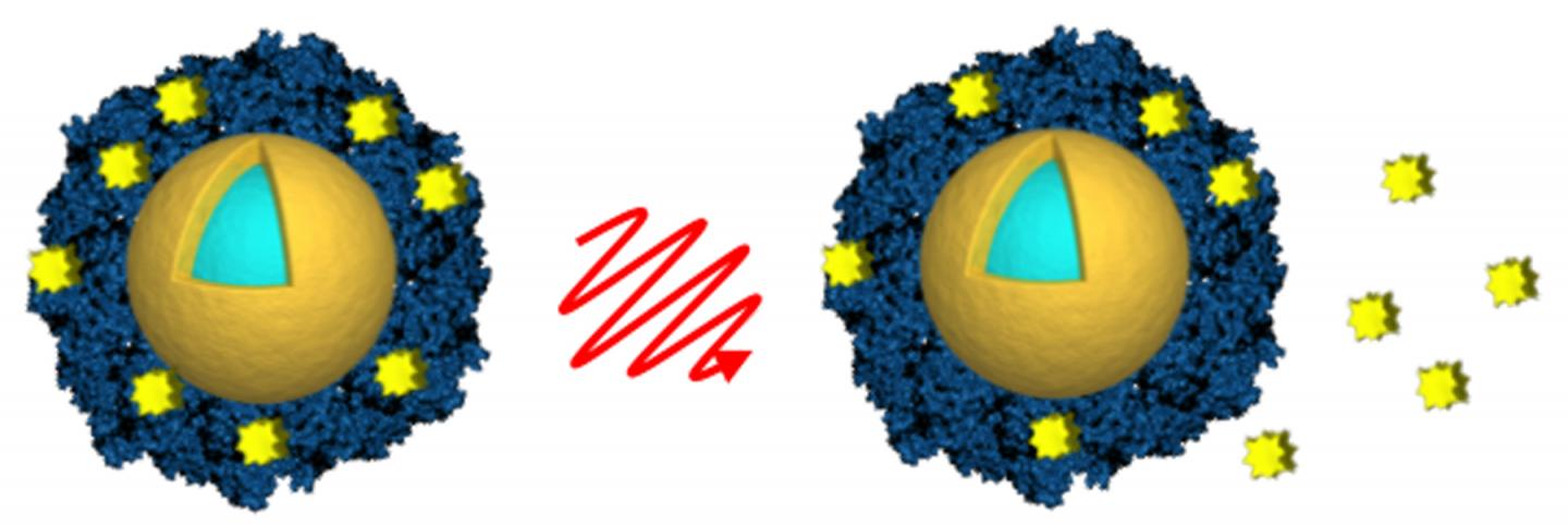 Researchers from Rice University and Northwestern University loaded light-activated nanoshells (gold and light blue) with the anticancer drug lapatinib (yellow) by encasing the drug in an envelope of albumin (blue). Light from a near-infrared laser (center) was used to remotely trigger the release of the drug (right) after the nanoshells were taken up by cancer cells. @ A. Goodman/Rice University