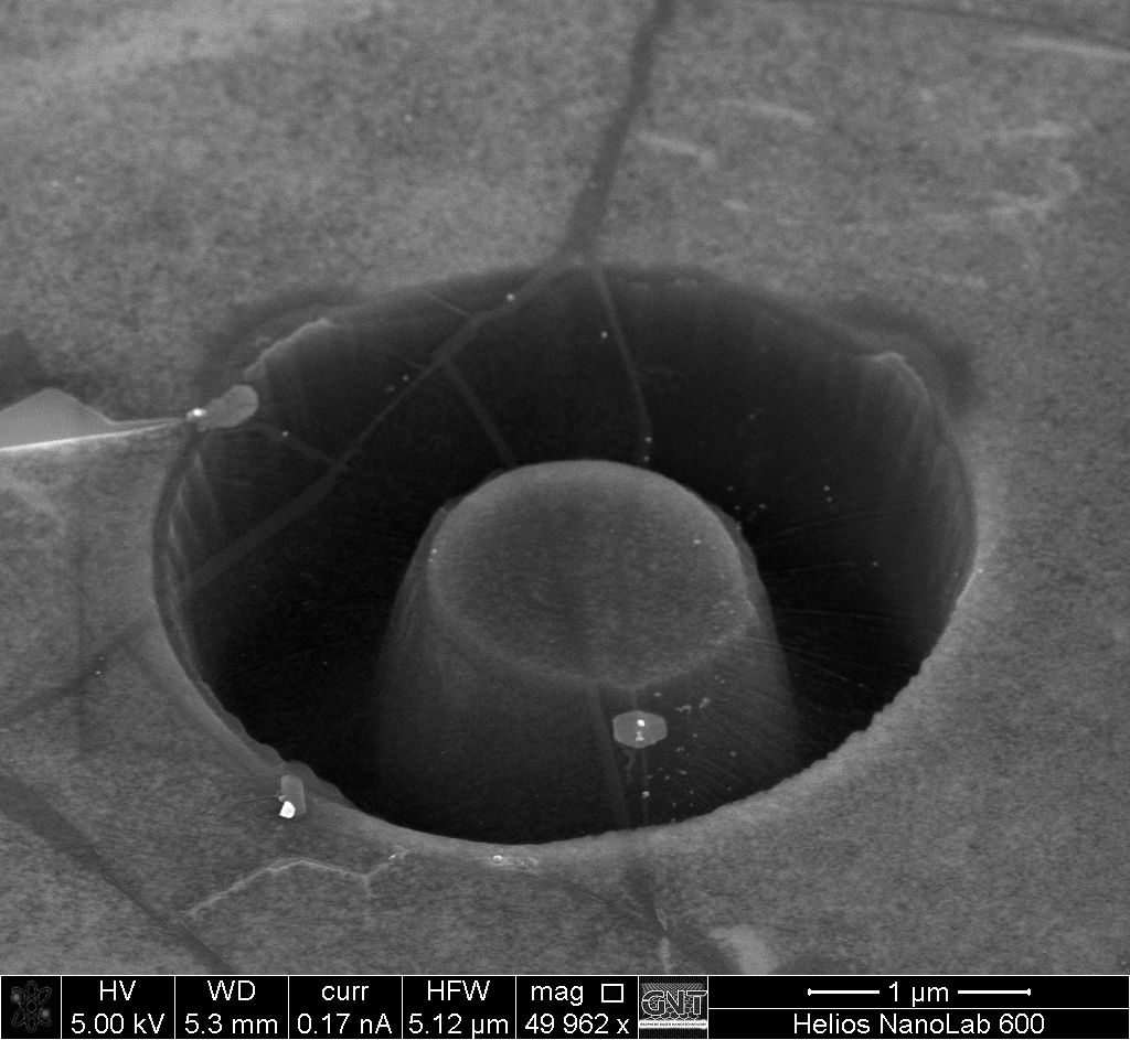 Monolayer graphene membrane suspended over a microscopic cavity.