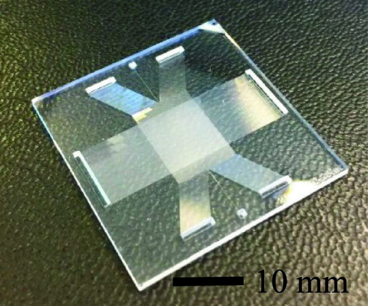 Cheap and fast: glass chip for fractionating DNA. @ Image courtesy of University of Twente
