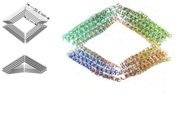 A schematic of a Bennett linkage and a model simulation showing the Bennett linkage made out of DNA. @ Lawrence Berkeley National Laboratory
