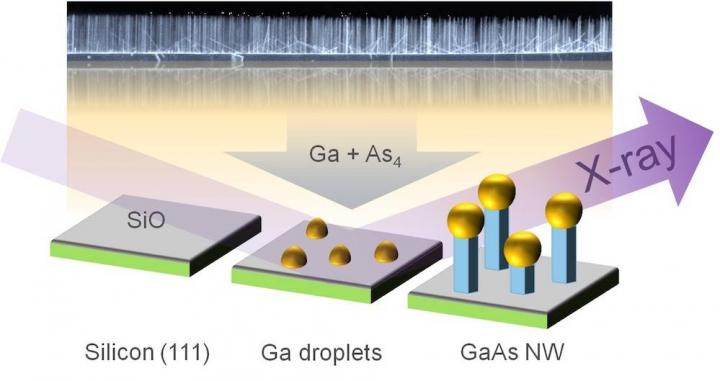 Study principle: Small thin nanowires grow on a silicon wafer after bombardment of gallium droplets with gallium and arsenic. Growth can be monitored with the help of X-rays. The fully grown nanowires were examined by electron microscopy (background). @ Figure: Philipp Schroth, KIT