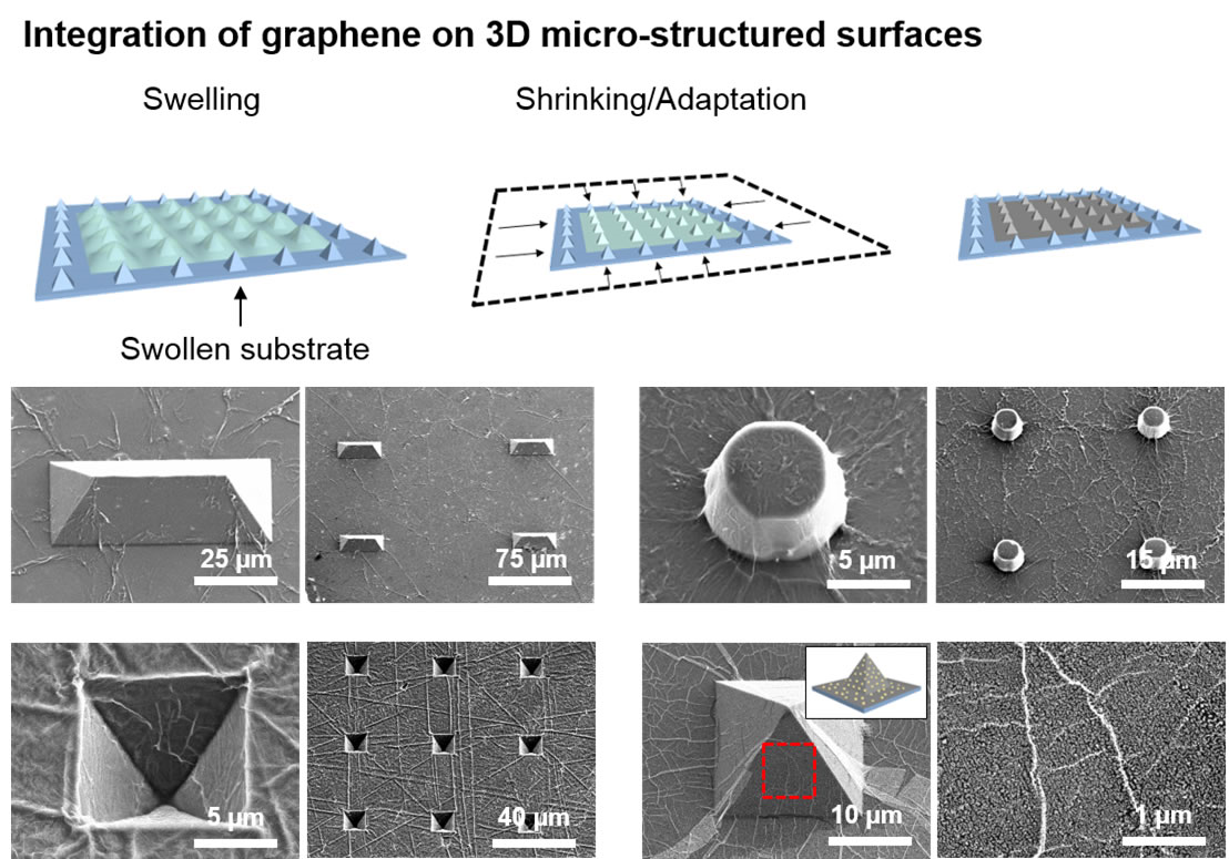 This study demonstrates graphene integration to a variety of different microstructured geometries, including pyramids, pillars, domes, and inverted pyramids.