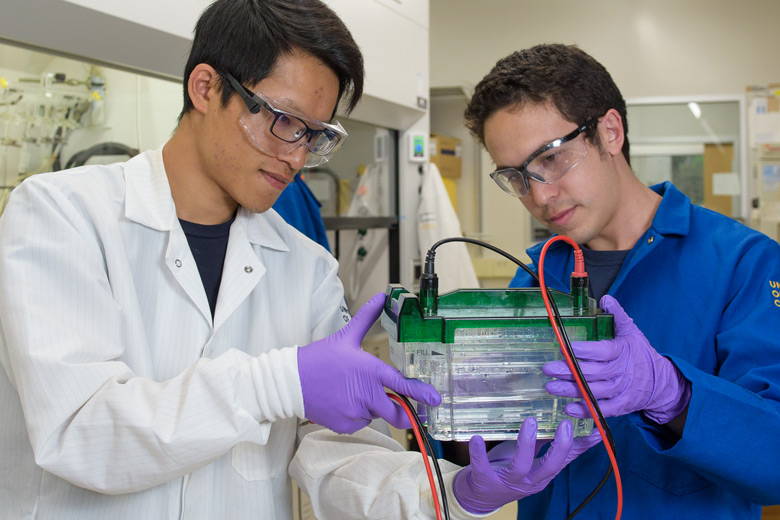 Graduate students Cheng-ting "Jason" Tsai and Peter Robinson prepare a gel electrophoreresis experiment to analyze a DNA-tagged biomarker.