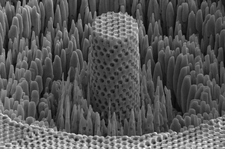 A microscopic sample of the researchers' "metallic wood." Its porous structure is responsible for its high strength-to-weight ratio, and makes it more akin to natural materials, like wood. @ University of Pennsylvania