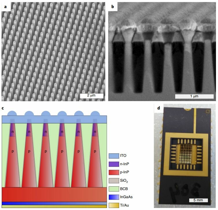 Tapered nanowire array device design. Credit: Nature Nanotechnology (2019). DOI: 10.1038/s41565-019-0393-2