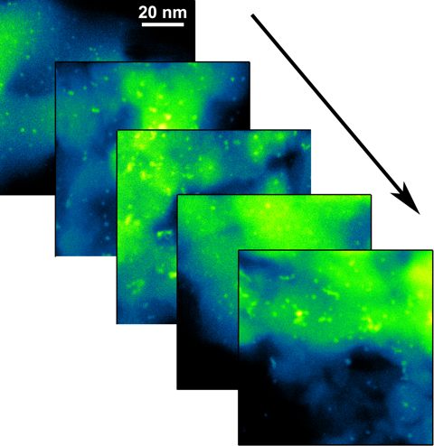 Series of scanning transmission electron microscopy (STEM) images of platinum nanoparticles, tracking their changes under different atmospheric pressure reaction conditions.