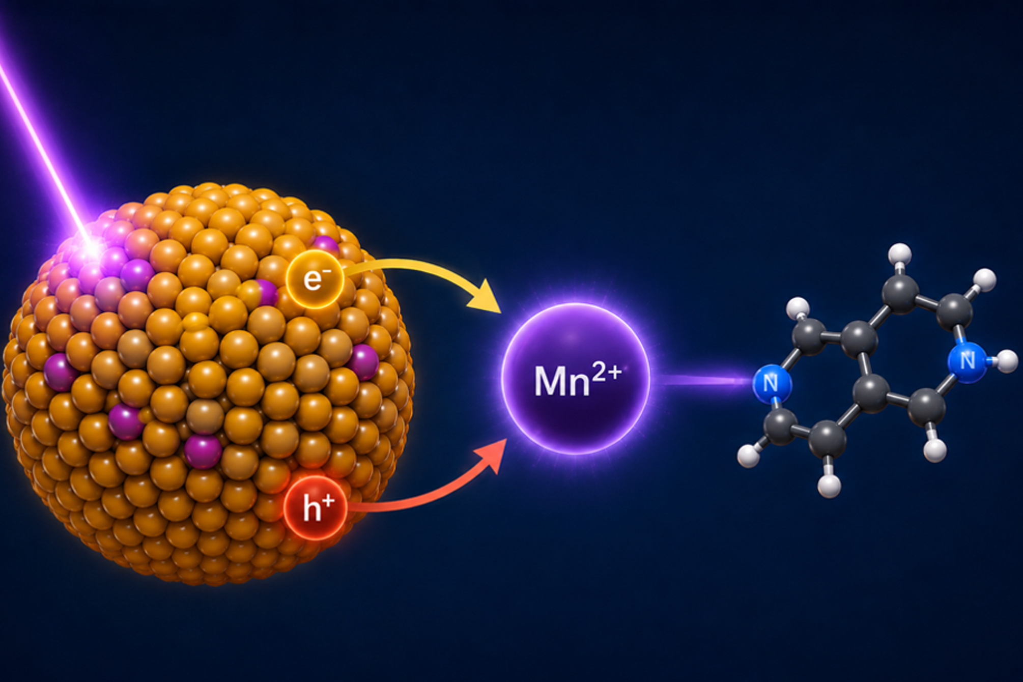 Light excites a manganese-doped quantum dot, triggering ultrafast spin exchange that transfers hot-exciton energy to an embbeded manganese ion. The excited ion then undergoes spin-flip relaxation, driving a reduction reaction.