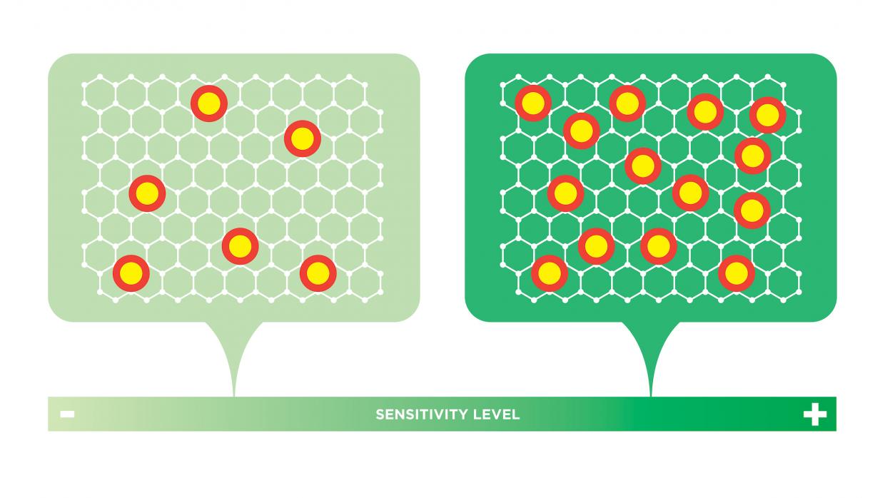 NYU researchers discovered how to predict the sensitivity of graphene electrodes — potentially paving the way to industrial-scale production of the ultra-small sensors: The density of intentionally introduced point defects is directly proportional to the sensitivity of the graphene electrode. If the density of these points is maximized, an electrode can be created that’s up to 20 times more sensitive than conventional electrodes.