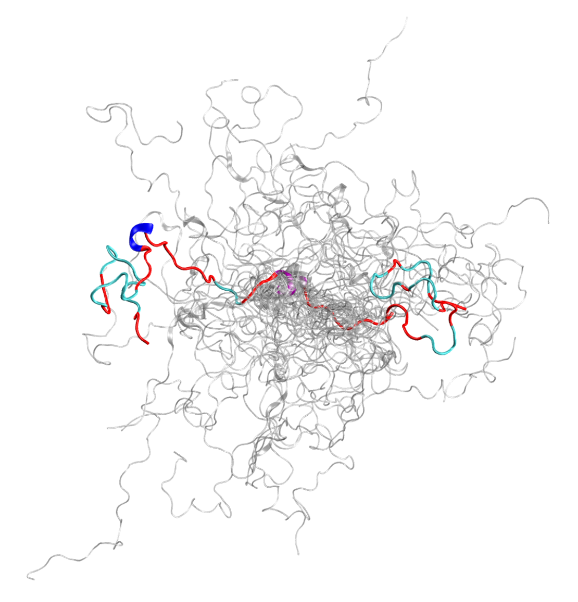 The configurational ensemble (a collection of 3D structures) of an intrinsically disordered protein, the N-terminal of c-Src kinase, which is a major signalling protein in humans @ DOE/ORNL