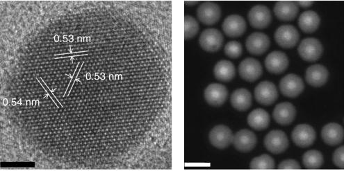 At left is a high-resolution transmission electron microscope image of a nanoparticle measuring 8 nanometers in diameter, with a 4-nanometer-thick shell. The scale bar is 5 nanometers. At right is a scanning transmission electron microscope image showing a collection of 8-nanometer nanoparticles with 8-nanometer shells (scale bar is 25 nanometers). @ Lawrence Berkeley National Laboratory (Berkeley Lab)